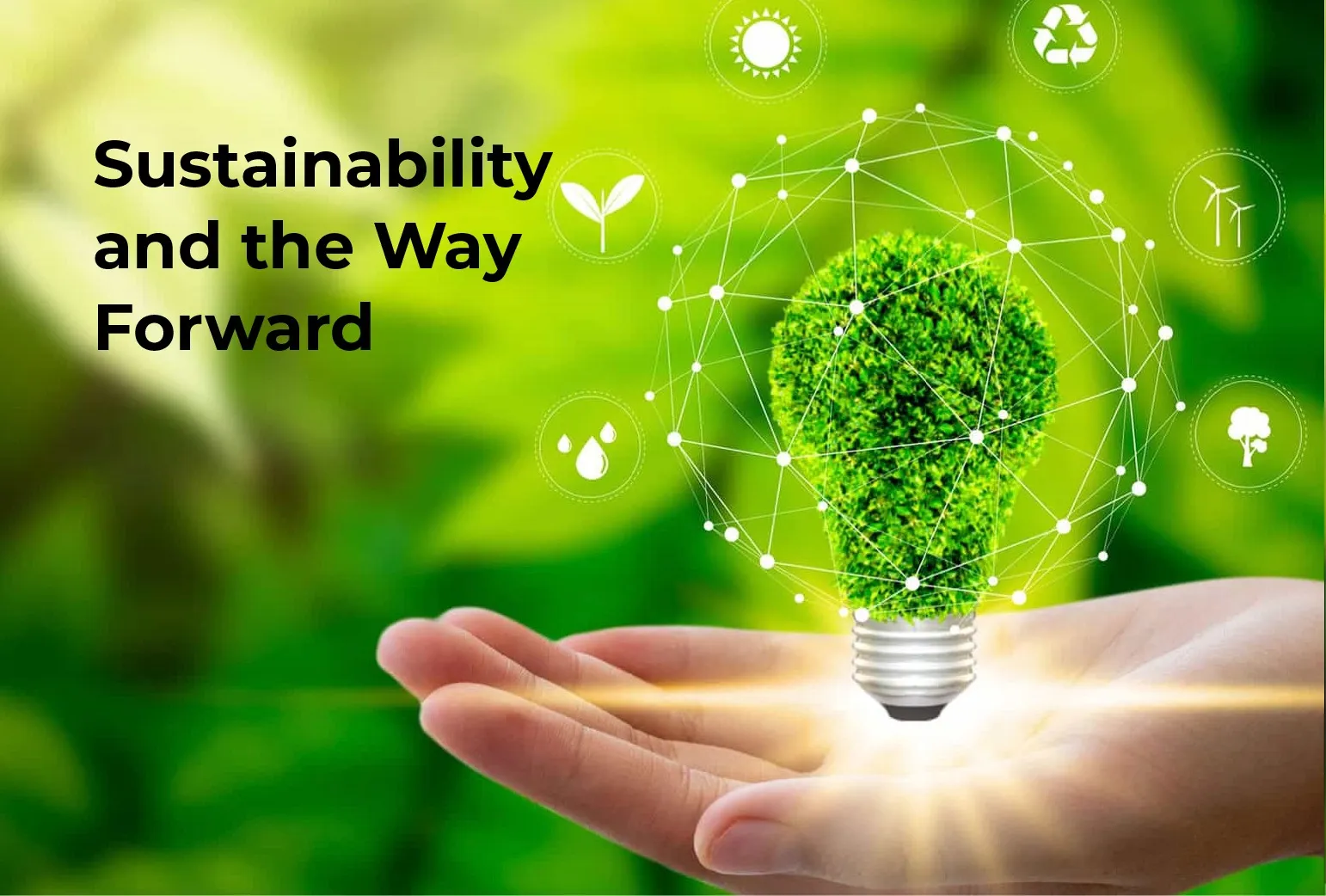 Sustainability and the Way Forward